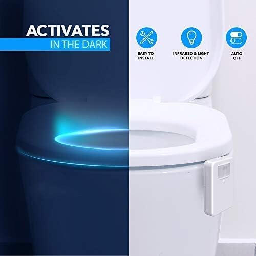 Toilet Bowl Night Light